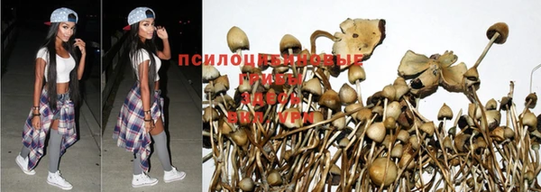 мдма Богородицк