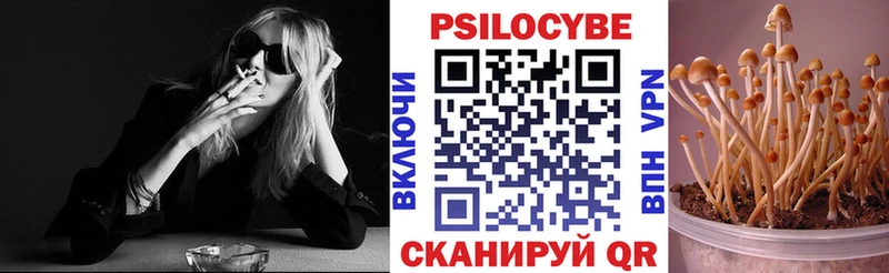 Псилоцибиновые грибы ЛСД  цена наркотик  Новоузенск 